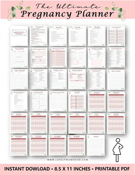 Best Pregnancy Planner Printable Bundle PDF