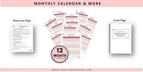 printable Pregnancy calendar
