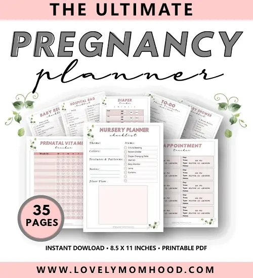 best printable pregnancy planner