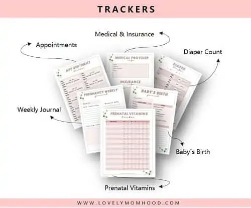 printable pregnancy tracker
