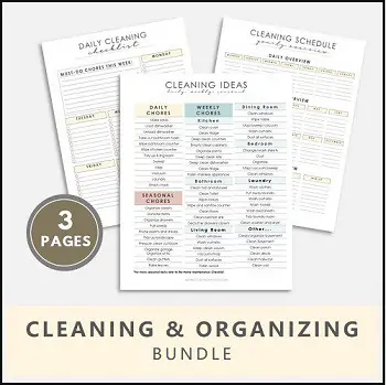 cleaning checklist