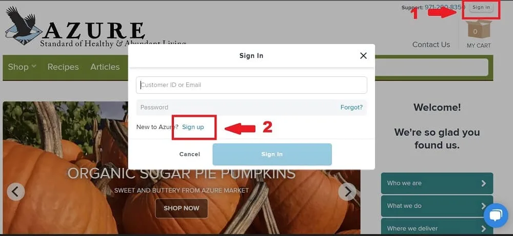 How to Sign Up for Azure Standard 