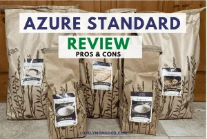 Azure Standard Review Pros and Cons