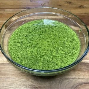 Easy Cilantro Pesto Recipe