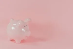 pink ceramic pig coin bank