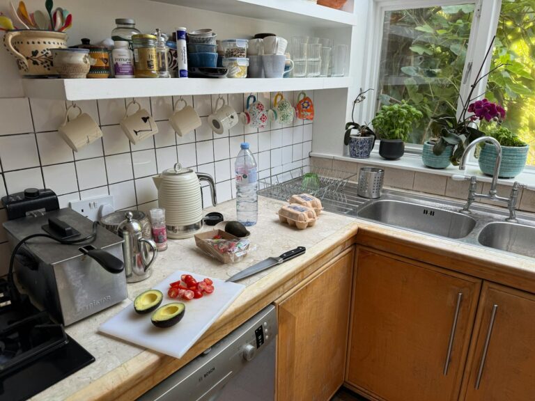 Kitchen counter with fresh avocado, tomatoes, and kitchenware near a bright window.